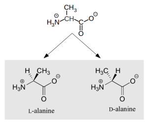 Representació de l'aminoàcid Alanina. A dalt, en dos dimensions, a baix, les dues formes resultants en representar-ho en tres dimensions
